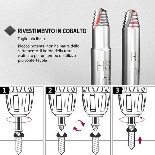 Estrattore di viti (4 pezzi / 5 pezzi / 6 pezzi)