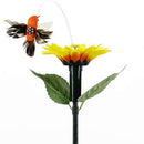Solarer tanzender Kolibri mit Sonnenblume