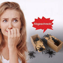 schreckliche Kästen- Witziges Geschenk