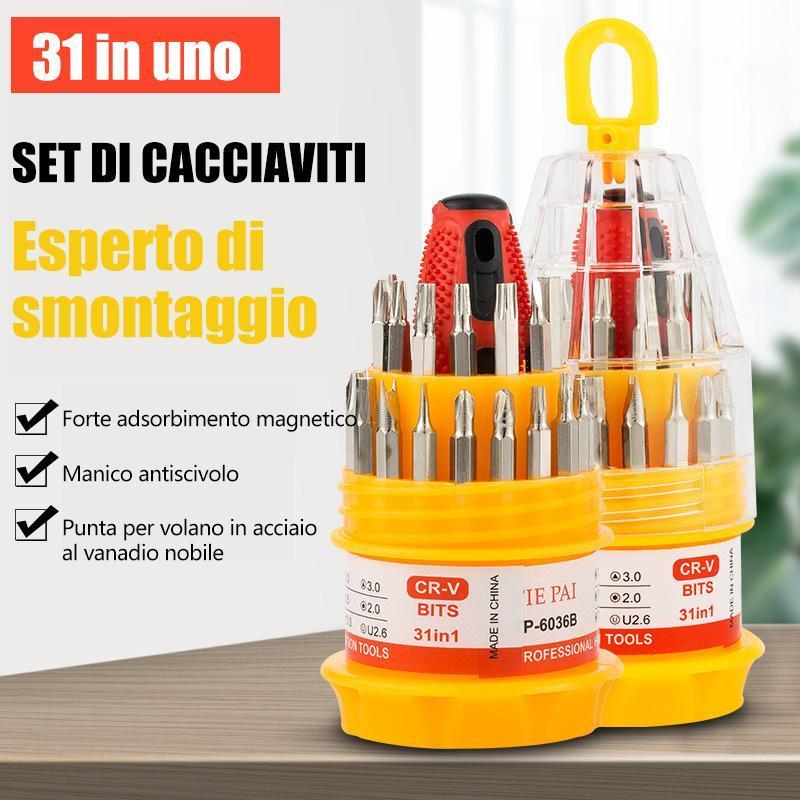 Set di cacciaviti 31 in 1