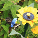 Solarer tanzender Kolibri mit Sonnenblume