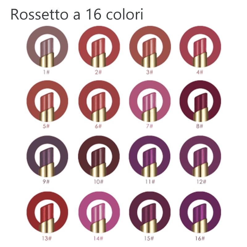 Combinazione di rossetto a lunga durata a 16 colori + matita per le labbra