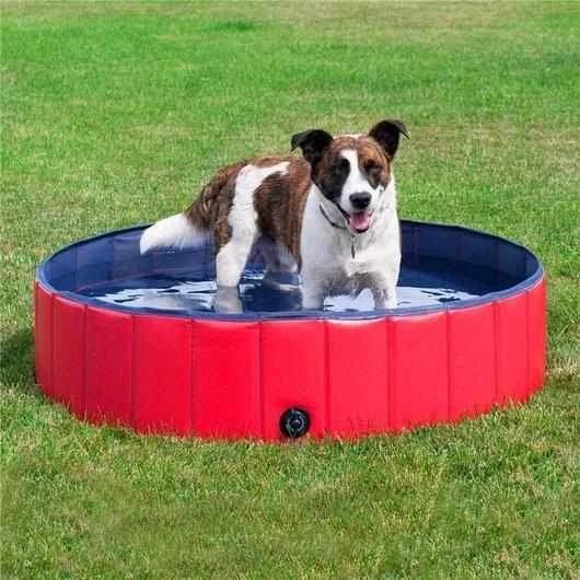 Faltbarer Hundepool