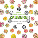 Spritztüllen Set aus Edelstahl