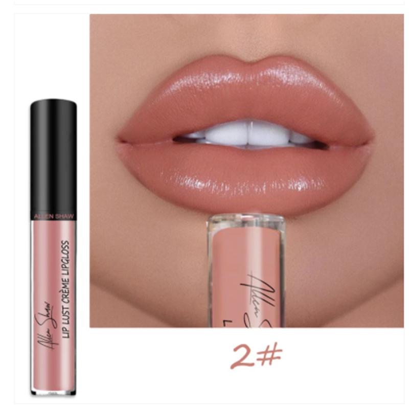 Wasserdichter 12-Farben-Creme-Lippenstift