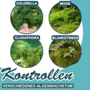 Algenschutzmittel
