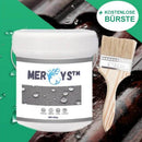 Transparentes wasserdichtes Beschichtungsmittel