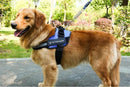 Reflektierendes Hundegeschirr