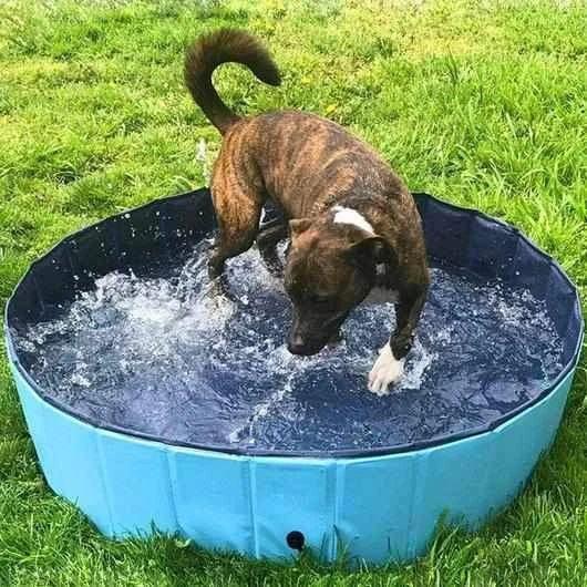 Faltbarer Hundepool