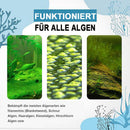 Algenschutzmittel