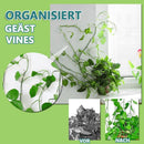 Wandreben Unsichtbare Pflanzenclips-100pcs