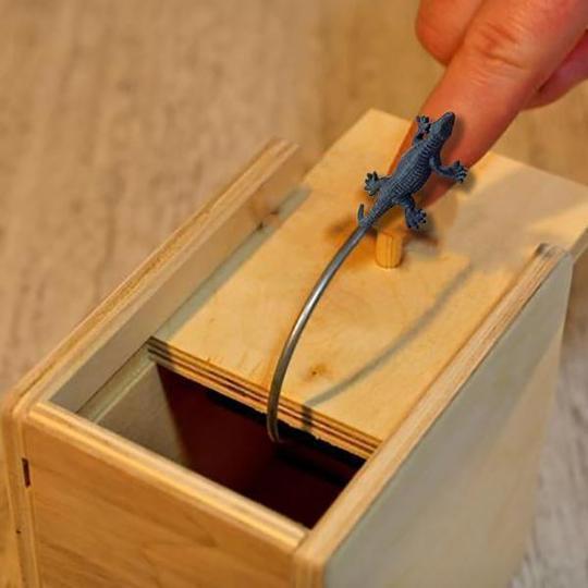 schreckliche Kästen- Witziges Geschenk