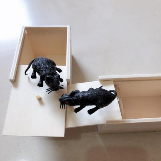 schreckliche Kästen- Witziges Geschenk