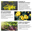 Magical Perfecting Base Face Primer unter der Foundation