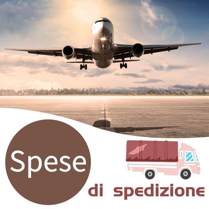 Spese di spedizione